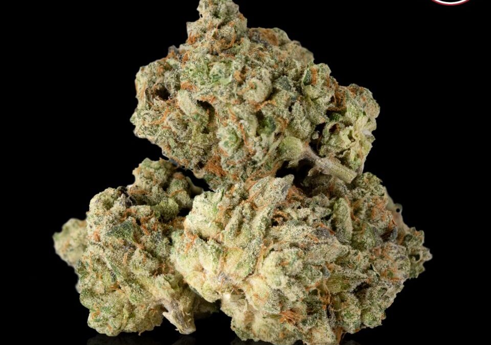 The Winners of The Cannabis Cup Massachusetts: People’s Choice Edition 2021