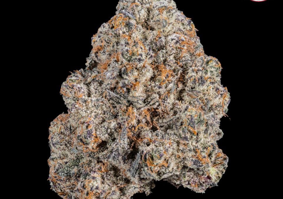 The Winners of The Cannabis Cup Nevada: People’s Choice Edition 2021
