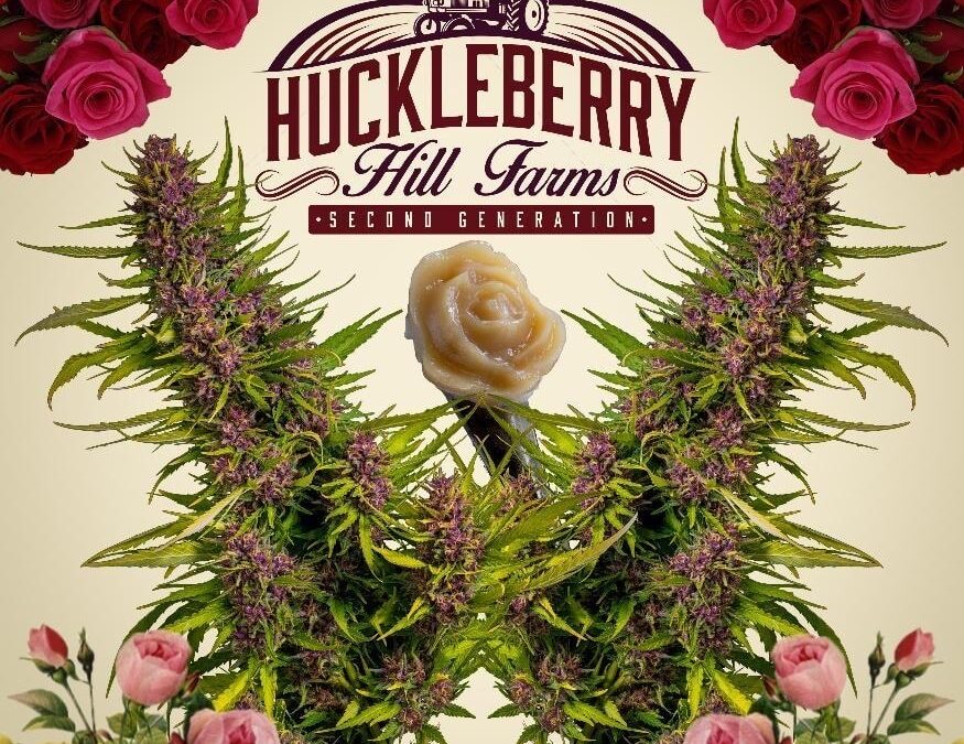 Petition Seeks Help Protecting Small Cannabis Farmers in the Emerald Triangle