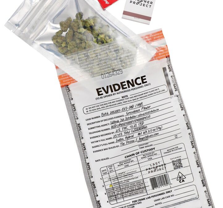 How Evidence is shaping the conversation around cannabis and justice