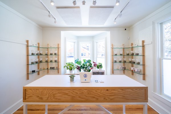 Montana’s best dispensaries and products for winter adventures