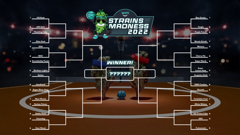 Your guide to Strains Madness 2022 