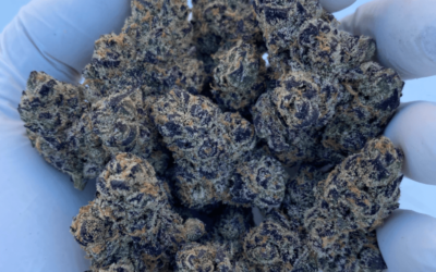 The Drop: Hall of Flowers special edition