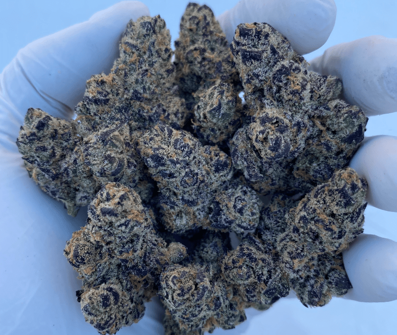 The Drop: Hall of Flowers special edition