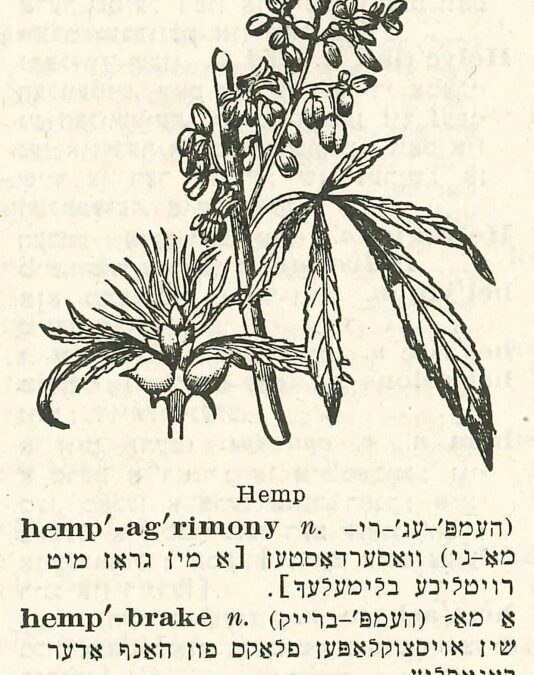 Story of Jews and Cannabis at YIVO Opens in New York Tomorrow