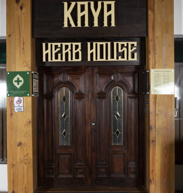 Jamaica Rises with the Help of Kaya Herb House’s Bali Vaswani