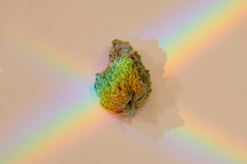 The best strain for falling in love