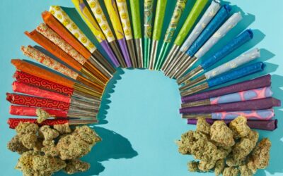 A conversation on what it means to be LGBTQ+ in the cannabis industry