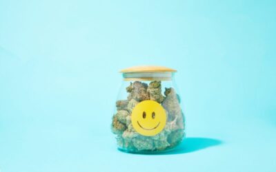 Munchies explained: Why does food taste better high?
