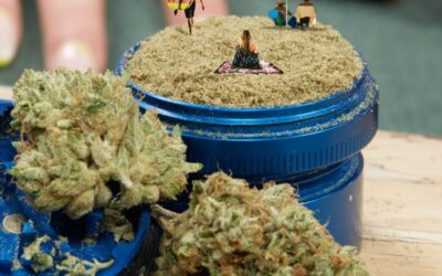 The best weed grinders for every flower aficionado
