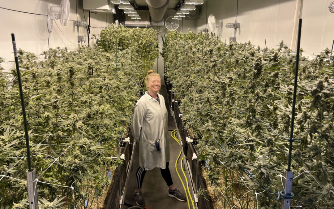 California State Fair Announces Cannabis Awards Winners in First-Ever Competition