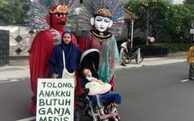 The Fight for Medical Cannabis in Indonesia