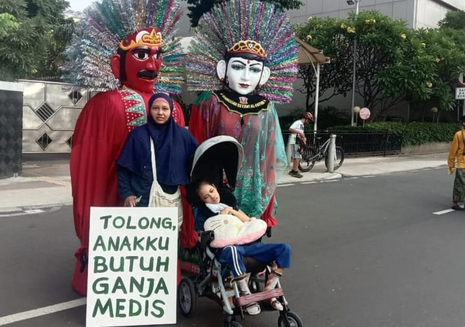 The Fight for Medical Cannabis in Indonesia