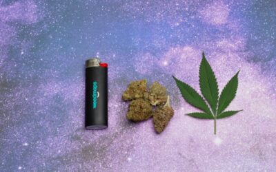 The 7 best strains for Leo season