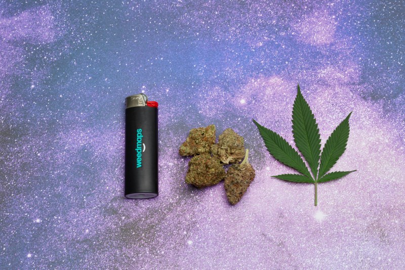 The 7 best strains for Leo season