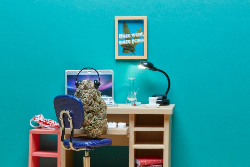 Cannabis NFTs: All hype or way of the future?