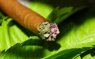 Weedmaps’ guide to infused pre-rolls in California