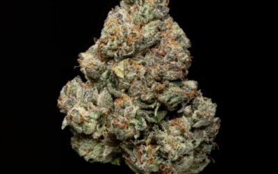 The strains that made FloraCal Farms