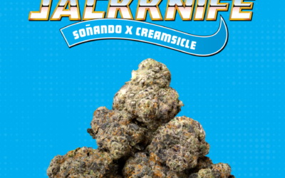 Kevin Nash To Debut Strain on Dispensary Tour in Michigan