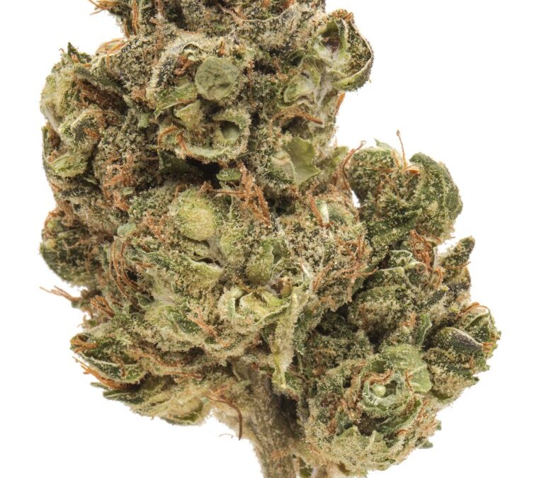 The 6 best strains for Libra season