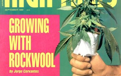 From the Archives: The Steps to Legalization (1989)