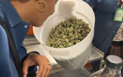 The Weedmaps guide to 420-friendly travel in Colorado