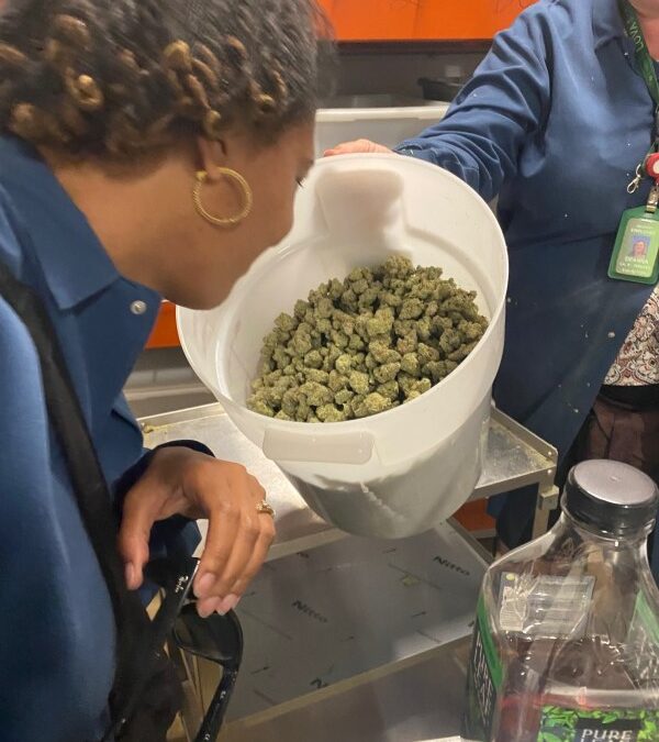 The Weedmaps guide to 420-friendly travel in Colorado