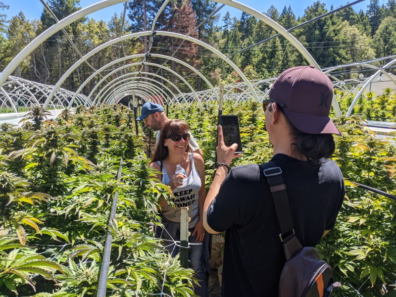 The Weedmaps’ 420-friendly travel guide to San Francisco