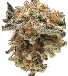 The 6 best strains for Scorpio season