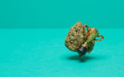 Best of Weedmaps: Best Dispensaries in the US 2022