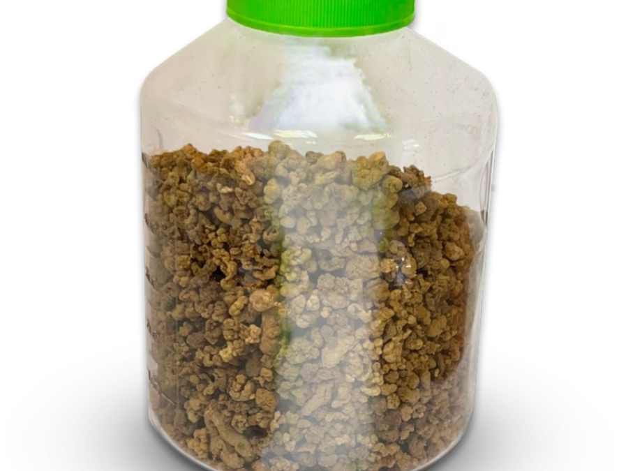 Israeli Company Clones Cannabis Cells—Not Plants—With Up to 12 Times the Potency