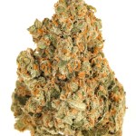 6 best strains for Sagittarius season