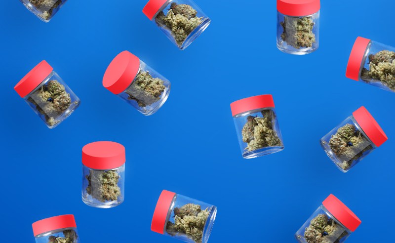 The best humidity packs (and hacks) for curing and storing weed, according to farmers