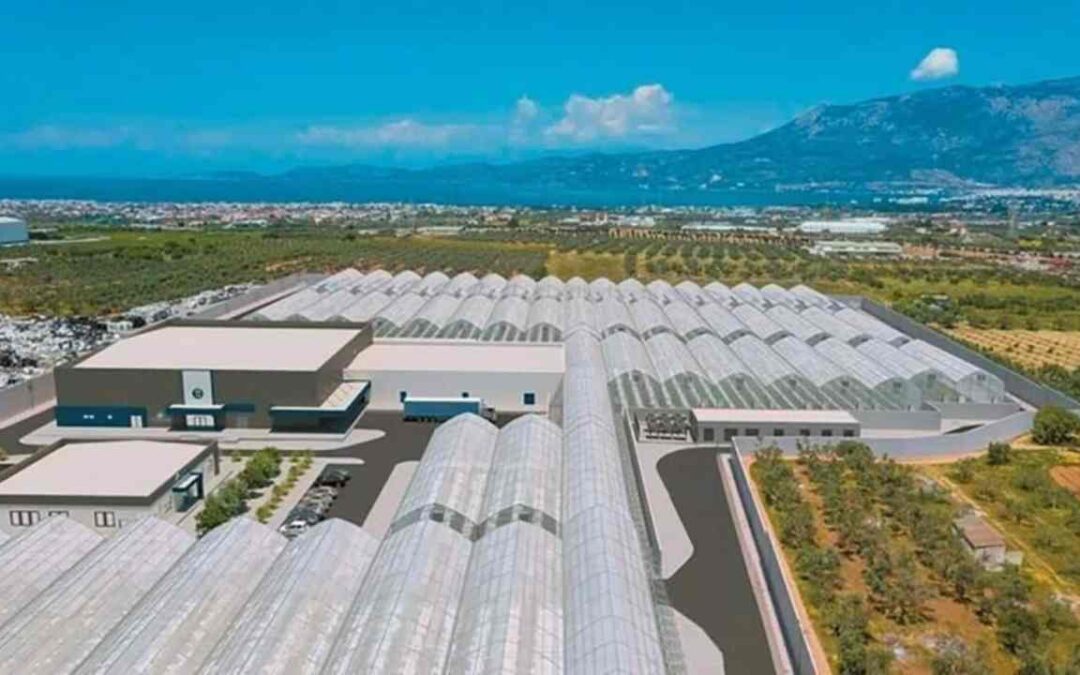 Greece Opens First Medical Pot Production Plant