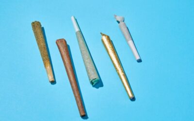 5 essential pre-rolls in Massachusetts