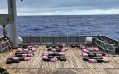 New Zealand Officials Seize Half a Billion Dollars Worth of Cocaine