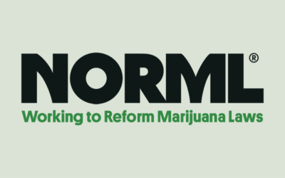 NORML Welcomes New Members to Its Board of Directors