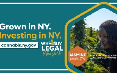 New York Governor Launches Campaign Urging Consumers To Buy Legal Weed