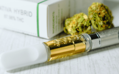 Survey: Over Half of Consumers in Legal States Obtain Their Cannabis From Brick-and-Mortar Retailers