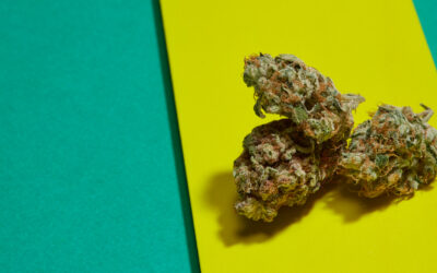The 8 best mint strains