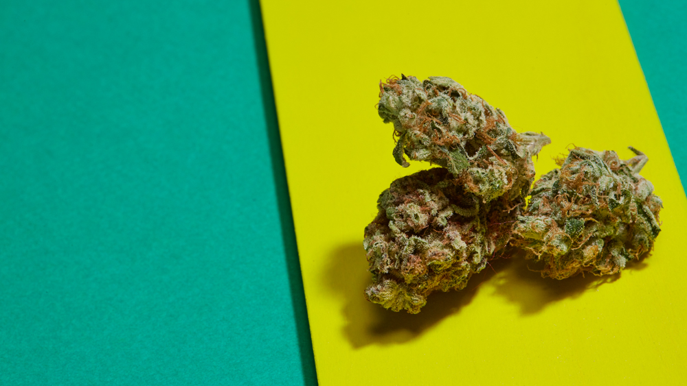 The 8 best mint strains