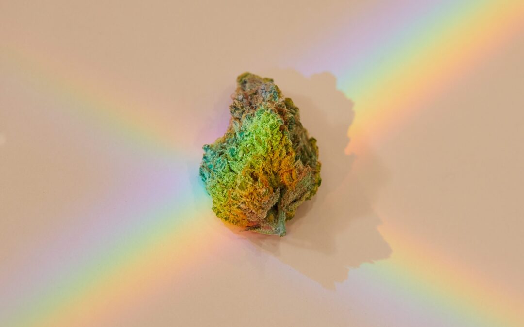 10 LGBTQ+-owned brands to support this month and every month