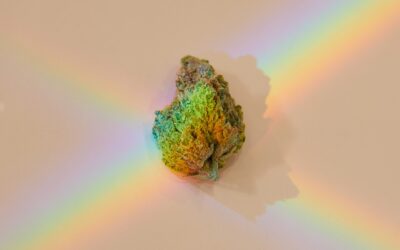 10 LGBTQ+-owned brands to support this month and every month