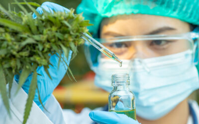 New Federal Bill Appropriates Millions Toward University-Sponsored Cannabis Research