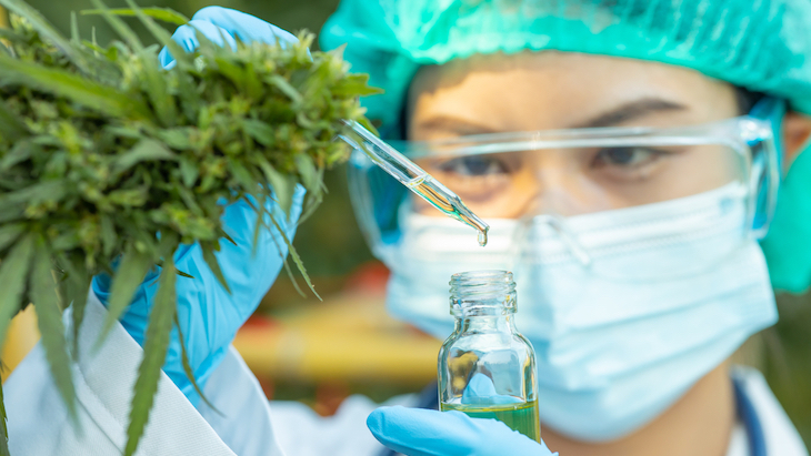 New Federal Bill Appropriates Millions Toward University-Sponsored Cannabis Research