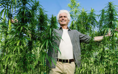 Survey: Older Adults Hold Positive Attitudes Toward Cannabis
