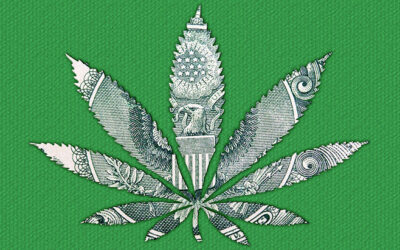 280E is Harming Legal Cannabis Businesses; These States are Legislating Change