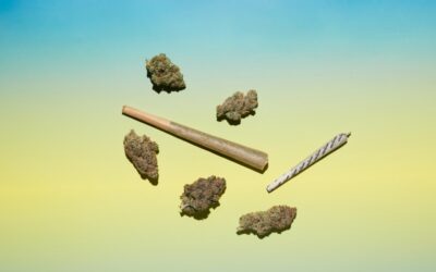 The 8 best fire strains