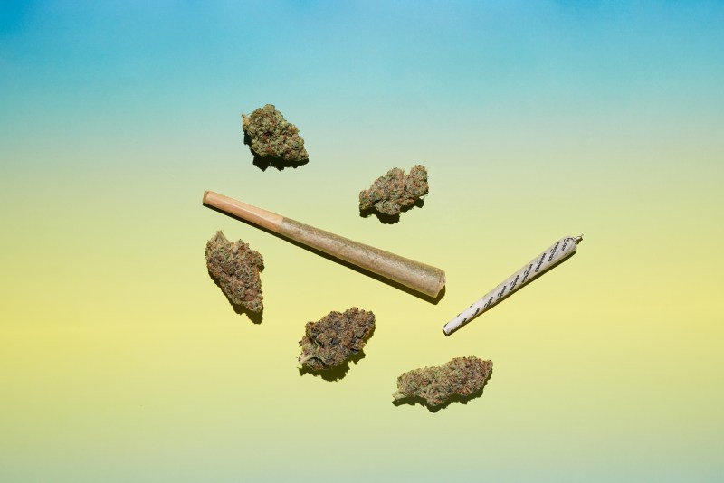 The 8 best fire strains