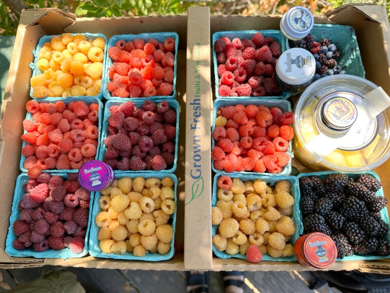 How to pair hashish with fruits: A journey with Hash Sommelier Sarah Jain
